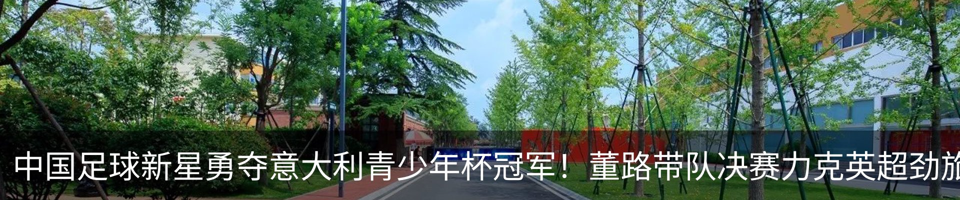 最新动态