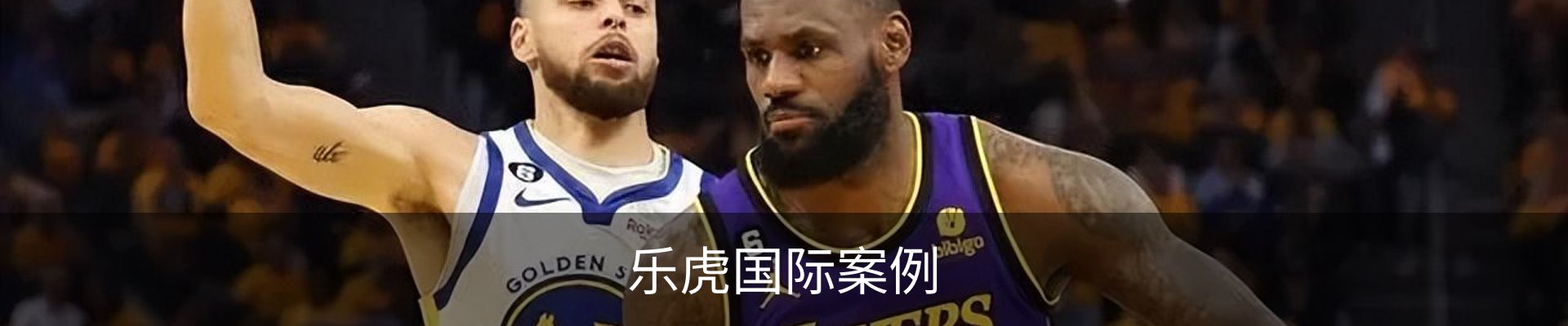 乐虎国际案例