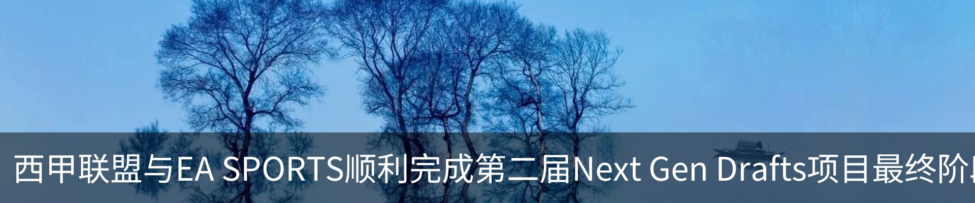 最新动态